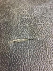 IMG_0957